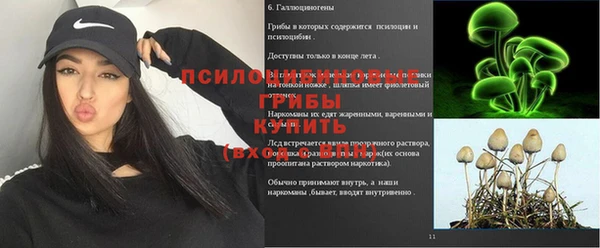 ПСИЛОЦИБИНОВЫЕ ГРИБЫ Козловка
