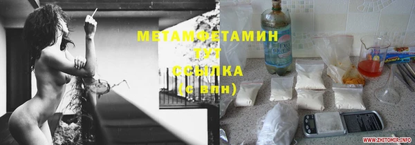 ПСИЛОЦИБИНОВЫЕ ГРИБЫ Козловка