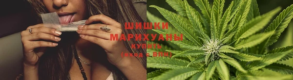 ПСИЛОЦИБИНОВЫЕ ГРИБЫ Козловка