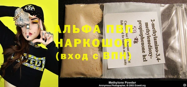 ПСИЛОЦИБИНОВЫЕ ГРИБЫ Козловка