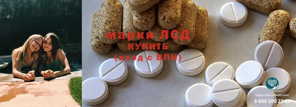 ПСИЛОЦИБИНОВЫЕ ГРИБЫ Козловка