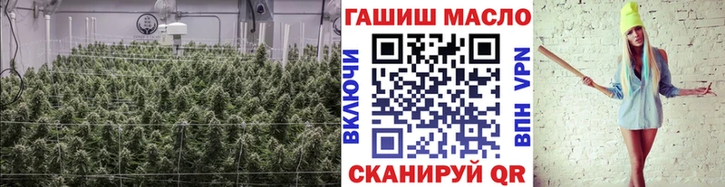 Дистиллят ТГК Wax  Купить где  Дмитровск 