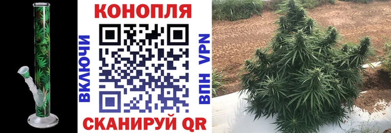 Марихуана White Widow  Купить где  Дмитровск 